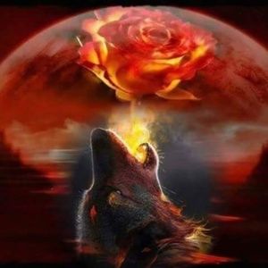 Meet your Posher, Vickie